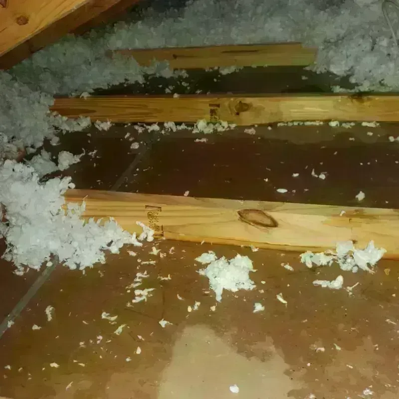 Attic Water Damage in Melissa, TX