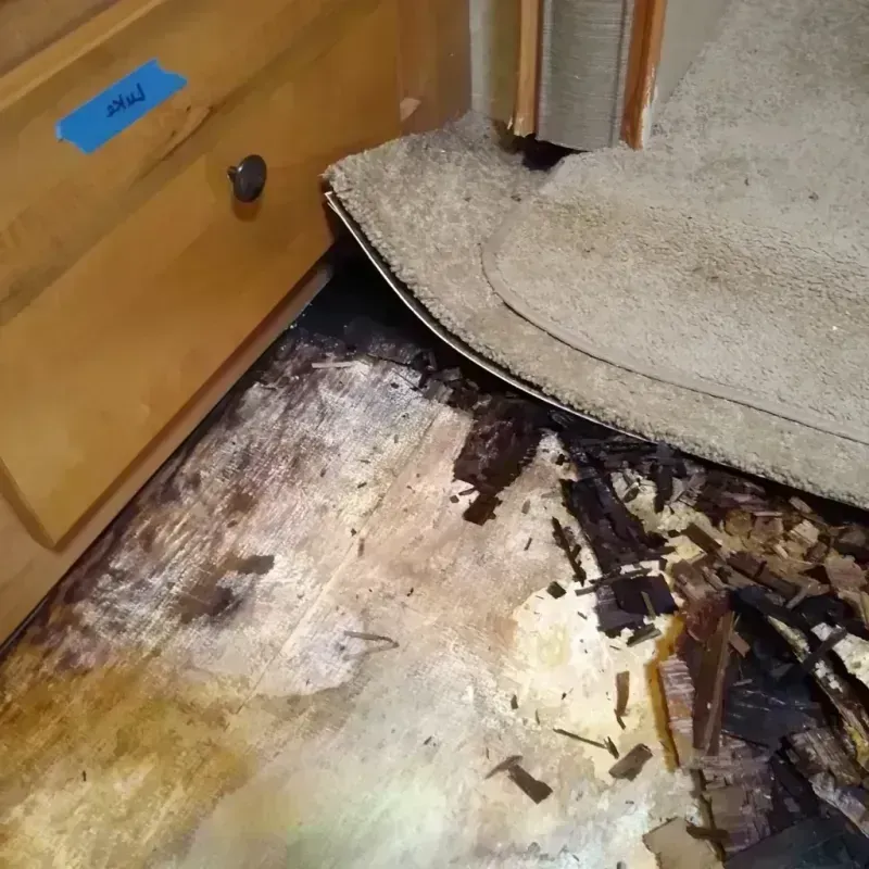 Wood Floor Water Damage in Melissa, TX